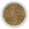 Carom Seeds (Ajwain/ajmo)
