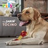 Fancy Pets Juguete Dental en Forma de Hueso con Sabor