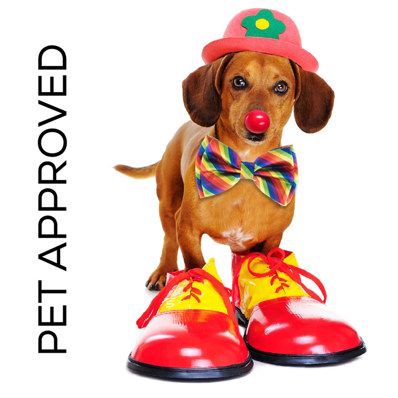 Man of Men - Men's Bowtie - Multi Color Rainbow