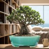 MUZHI 9” Glazed Oval Green Bonsai Planter Pot with Humidity