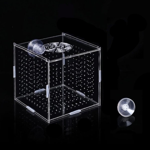 Acrylic Fish breeding Box, Breeder Box for Fish Tank, Fish