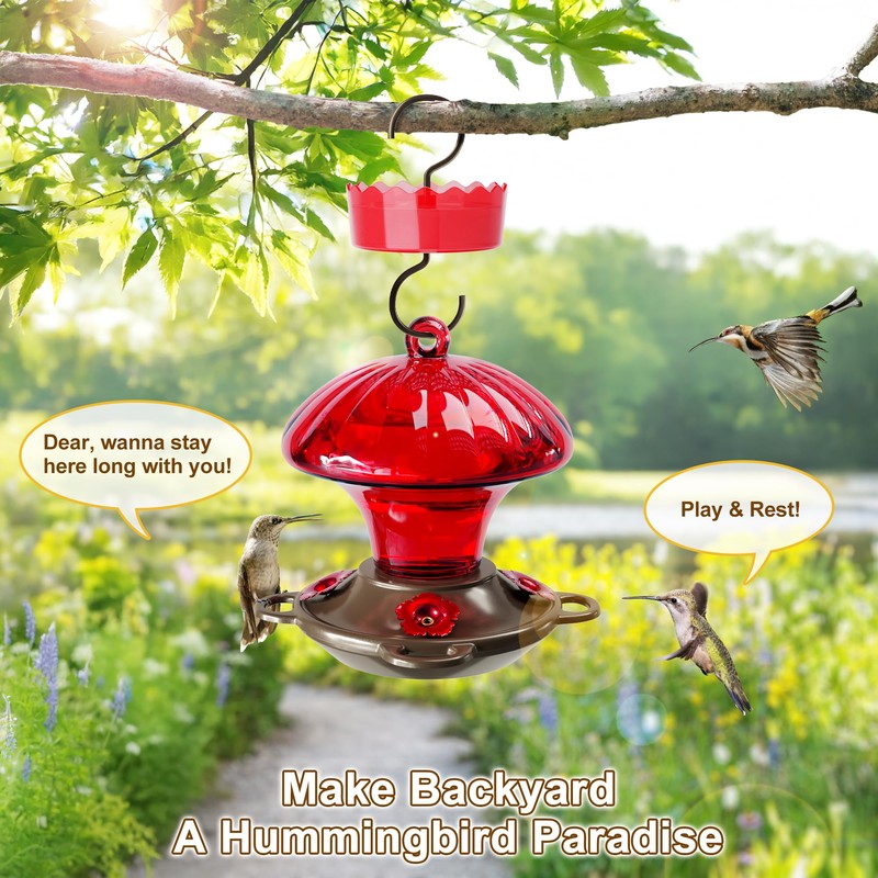 Hummingbird Feeder, Auslar 15 Ounces Glass Hummingbird Feeders for Outdoors