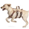LiebeDD Medium Dog Harness, Safety Harness, Escape Proof, Padded Dog