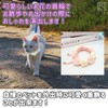 NABESHI Cat Collar, Cat Collar, Cat, Small Dog, Harness, Pet,