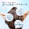 Hiritu Refill, Set of 4, Shampoo, Hair Treatment, Aurora, 11.8