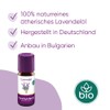 Taoasis Lavender Oil, 10ml