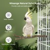 Niteangel Natural Wooden Perches for Bird Cages - Ideal for