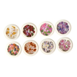 IWOWHERO Nail Art Flowers 8 Boxes of Nail Dry Petals Dried Flower Stickers for DIY Manicure Decor for Home Use