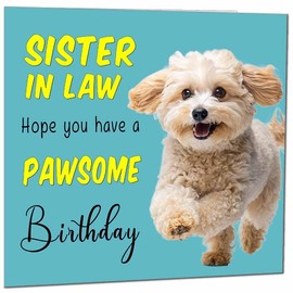 Sister in Law Birthday Card for Men Women Dog Pawsome Birthday Cards for Sister in Law Birthday Cards for Sister Sis