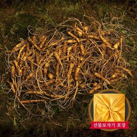 (명가일품)자연삼가 강원도 토종 산양삼 실속형 100g(5-6년근 60-90뿌리) (Myeongga Ilpum) Natural Mountain Ginseng from Gangwon-do, Economical Type 100g (5-6 Year Old, 60-90 Roots)