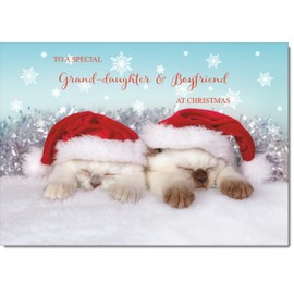 doodlecards Granddaughter and Boyfriend Christmas Card Two Cats with Santa Hats Medium Size Christmas Card for Granddaughter & Boyfriend with Plain Envelope