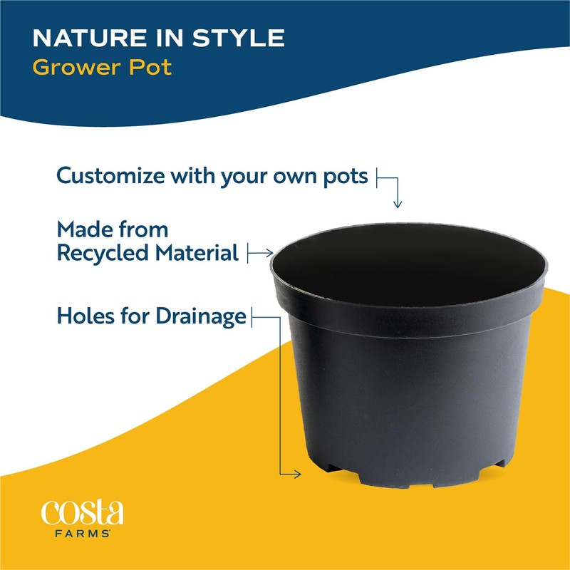 Costa Farms Live Indoor Plant Bundle in Plastic Pots, Easy
