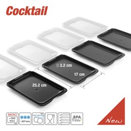 PracticFood Tatay Fresh System - High-Quality Food Storage Boxes, Food Storage Containers for Cold Cuts, Ideal Storage in the Refrigerator, Dimensions 17 x 3.2 x 25.2 cm