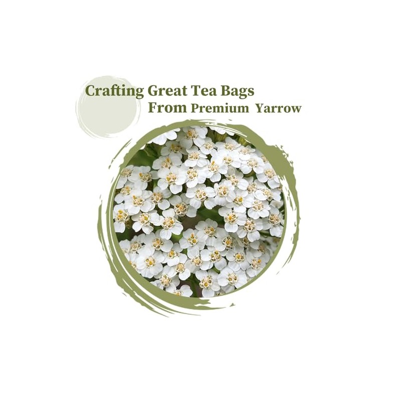 FullChea - Yarrow Tea Bags, 50 Count, 2g/bag - Premium