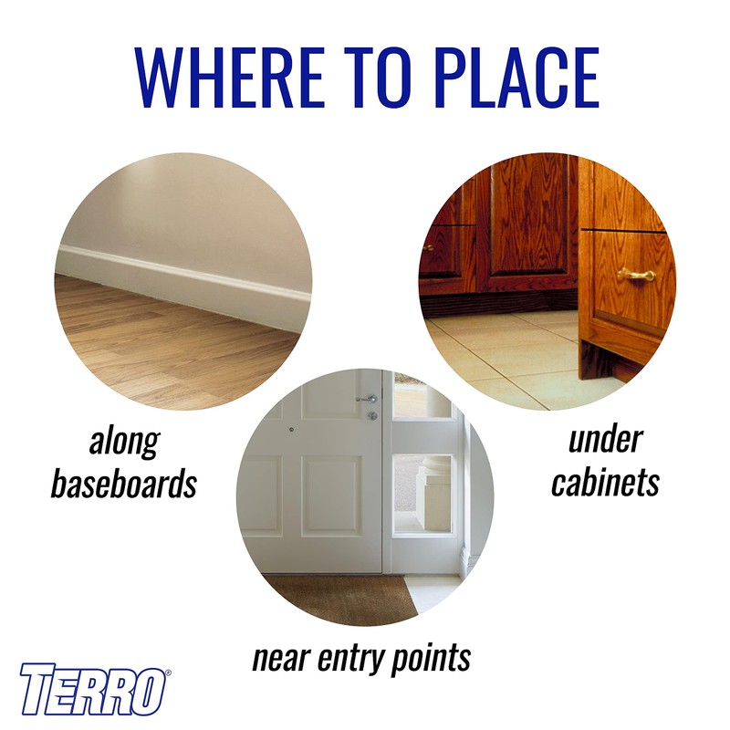 TERRO T200-3SR Liquid Ant Killer – 3 Pack Terro Liquid