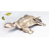Brass Decorative Turtle Sprinkler - with a Little Turtle on