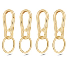 4Pack Small Keychain Rings, Metal Key Carabiner Clip, Mini EDC Key Ring Chain Holder Organizer for Purse Charm Hook, Car Keychain, Paracord Keychain Lanyard, Men and Women Key Fob (Light Gold)