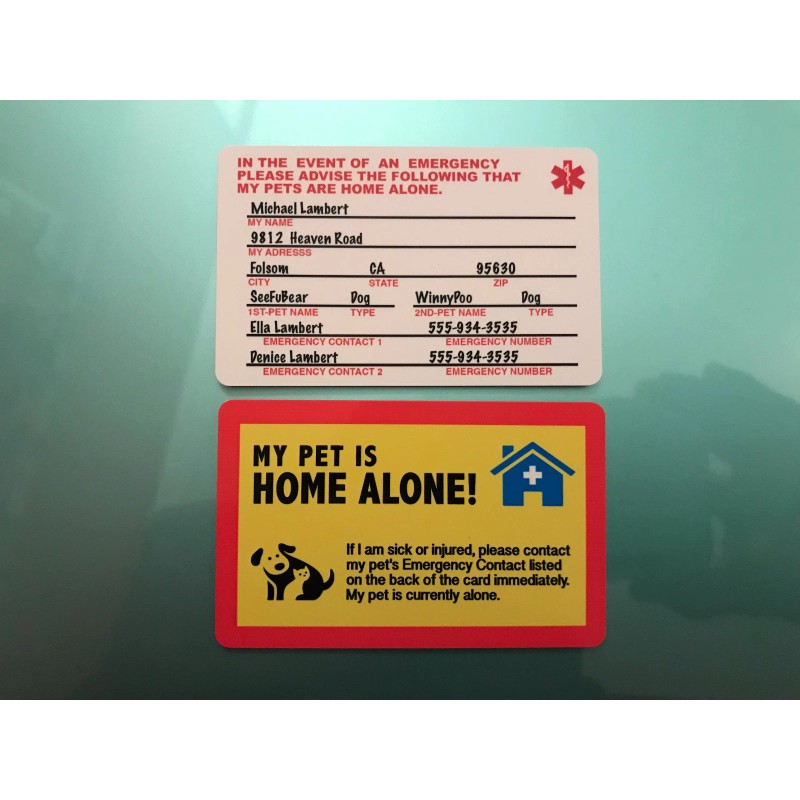 MY DOG IS HOME ALONE - EMERGENCY DOG CAT PET