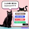 [Pets & People] Stress Relief Goods, Push Pop, Key Chain,