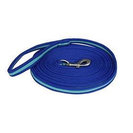 Rhinegold Carnival Bright Lunge Rein-Royal/Turq