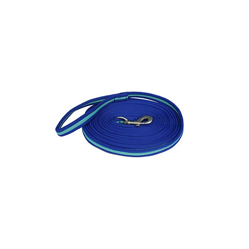 Rhinegold Carnival Bright Lunge Rein-Royal/Turq