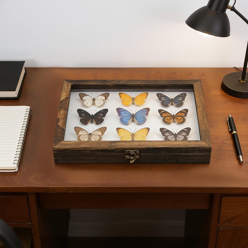 Cabilock Wooden Display Case Wooden Collection Box with Clear Glass