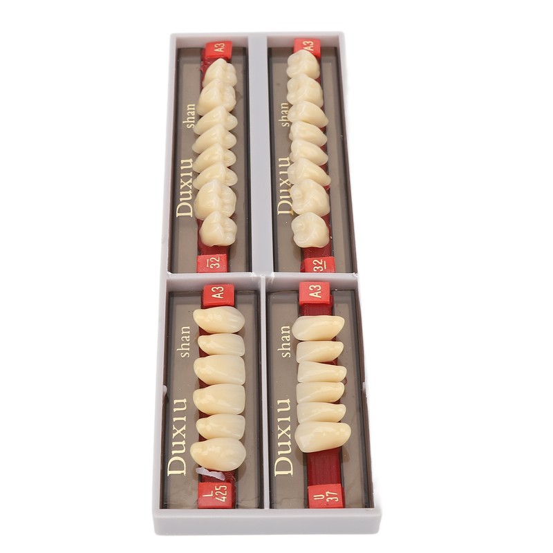 Dental Synthetic Resin Denture Tooth Professional Men Women Shade A3