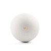 BESTPYSANKY Blown Out Hollow Real Goose Eggshell, Empty Cleaned-Out ...