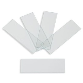 Karter Scientific 206A1 Microscope Slides, Ground Edges, Plain, 90 Corners, 3x1, 72pk (Case of 3600)