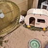 DR.DUDU Hamster Bath Sand, 2.8lb Dust Free Desert Sand or