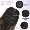 Ms Taj Ponytail Extensions, 66 cm with Drawstring, Light Reddish
