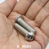 (Pack of 40) M4 x 45 mm Rounded Head Screws
