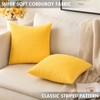 MIULEE Pack of 2 Super Soft Throw Pillow Covers Striped