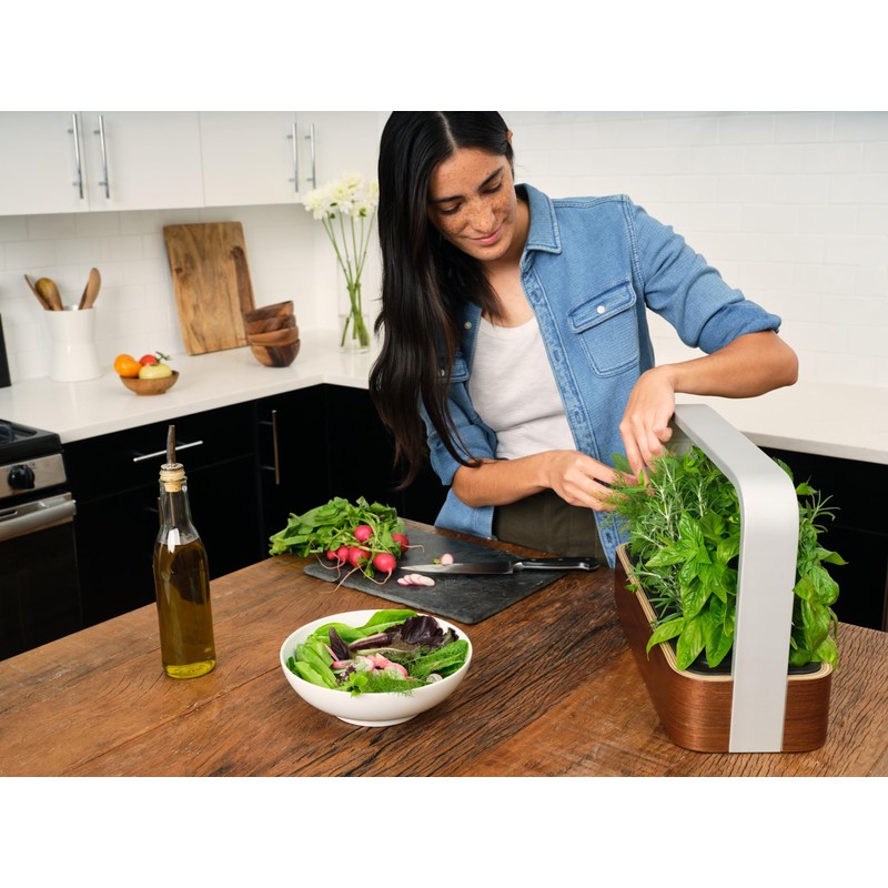 edn SmallGarden Bibb Lettuce SeedPods - 10 Pack