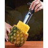6 Pcs Fruit Slicer Set,Pineapple Corer and Slicers Watermelon Fork
