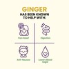 R.W. Knudsen Ginger Juice Organic, 32 fl oz (Pack of