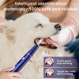 Psytpusa Plaque Remover for Teeth, Pet Ultrasonic Cleaner, Dog Plaque and Tartar Remover with LED Light, Dog Teeth Cleaning Dental Care Kit for Tartar and Stains, Suitable for Dogs and Cats (Blue)