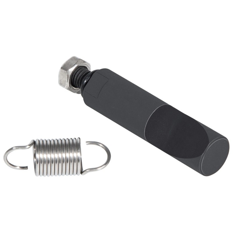 Camoo VE Pump Fuel Pin & 3200 RPM Governor Spring
