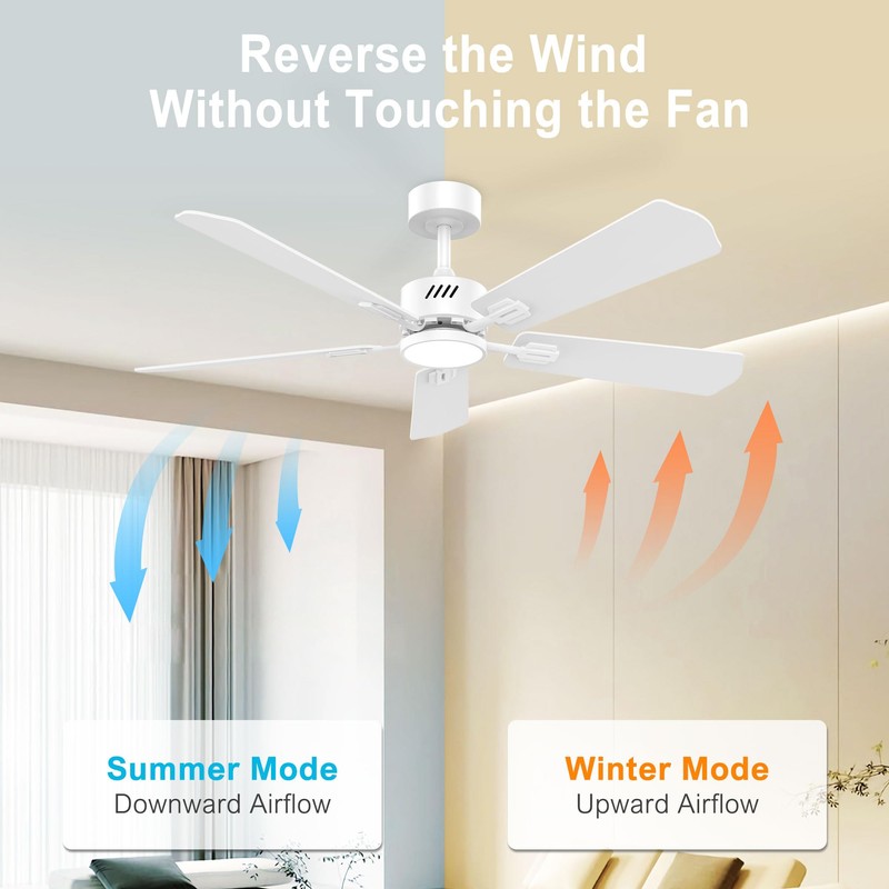 DAMINY 52 inch Ceiling Fan with Light,6CCT,5 Blade,Low Profile Ceiling