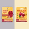 Burt's Bees Pomegranate Moisturizing Lip Balm, 0.15 oz