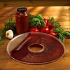 Nesco SLD-2-6 American Harvest 13.75" Fruit Roll Sheet for NESCO