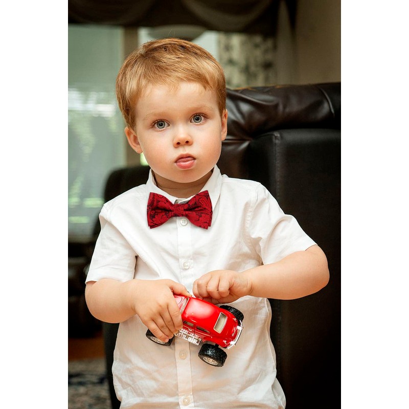 Alizeal Banded Adjustable Length Pre-Tied Boys Bow Tie for Birthday