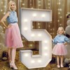 4FT Marquee Light Up Numbers 5,Party Decoration Large Marquee Light