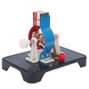 Miniature Electric Motor Model, Generator Motor Model Physical Experiment Model