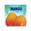 Shampoo 2 En 1 Smoothie Mango Naranja L'oréal Kids 265ml