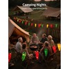 Xingzd 13.6FT Chili Pepper Outdoor String Lights, 35 LED Warm
