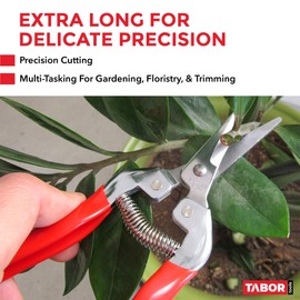 TABOR TOOLS Pruning Shears, Florist Scissors, Multi-Tasking Garden Snips for Arranging Flowers, Trimming Plants and Harvesting Herbs, Fruits or Vegetables. K17A. (Straight, Stainless Steel Blades)