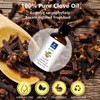GM Gumili Clove Oil Essential Oil for Home Diffuser Skin