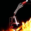 Rapid Wine Aeration Decanting Pourer