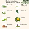 New Advanced Herbal Formula | SIA Organic Lymphatic Drainage Drops